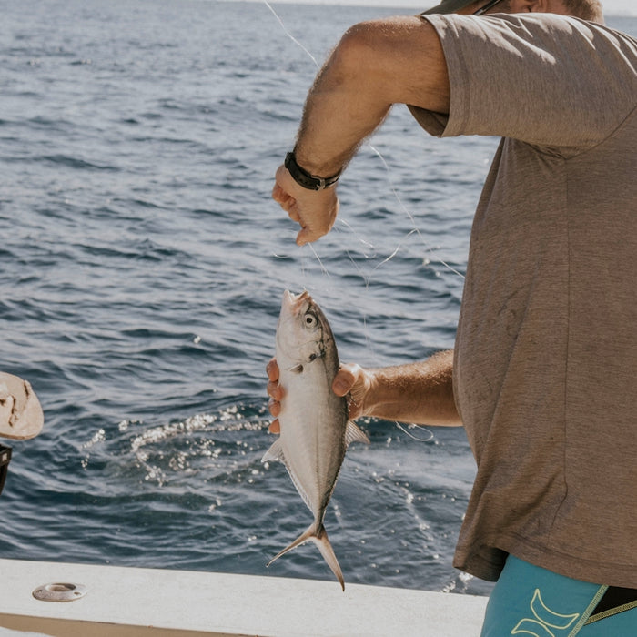 person holding gray and white fish on boat