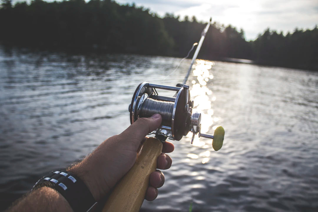 Durable  Versatile Fishing Reels for Saltwater Adventures