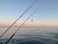 High-Performance Fishing Rods and Reels for Saltwater Use