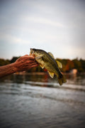 Tips for Photographing Your Fishing Catches