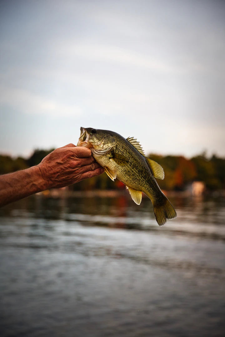 Tips for Photographing Your Fishing Catches