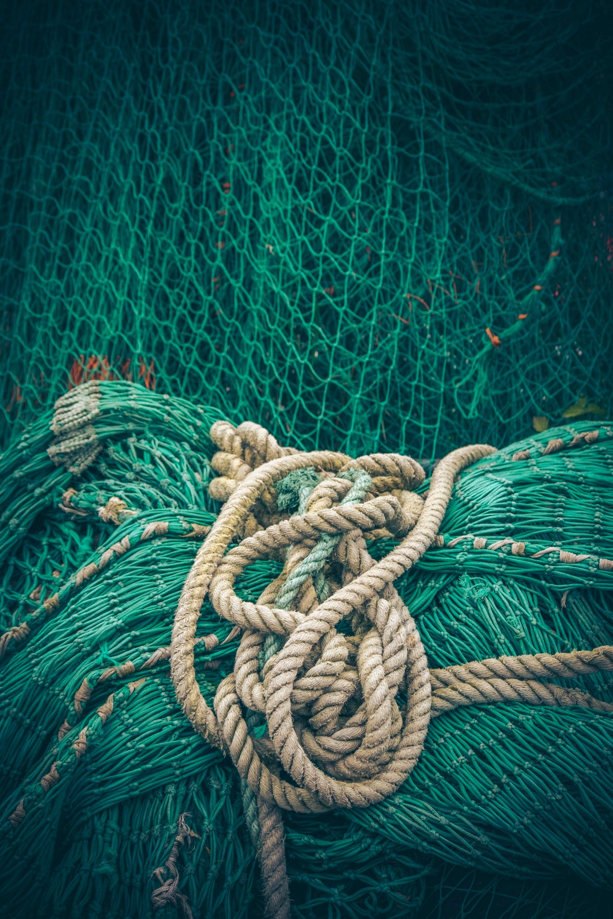 brown rope on green net