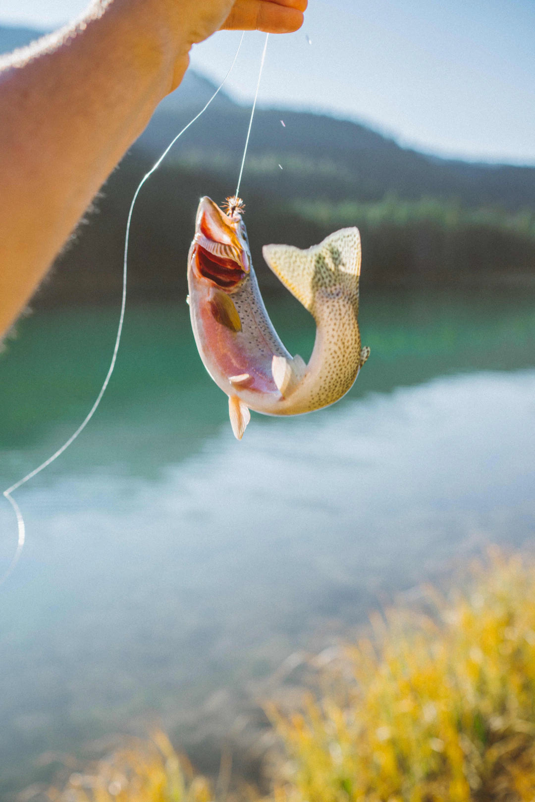 The Benefits of Catch-and-Release Fishing