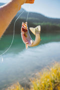 Techniques for Catching Freshwater Fish