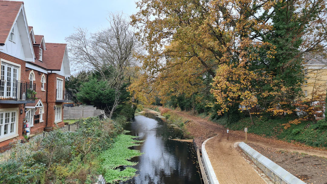 Protecting Our Waterways Through Conservation Projects