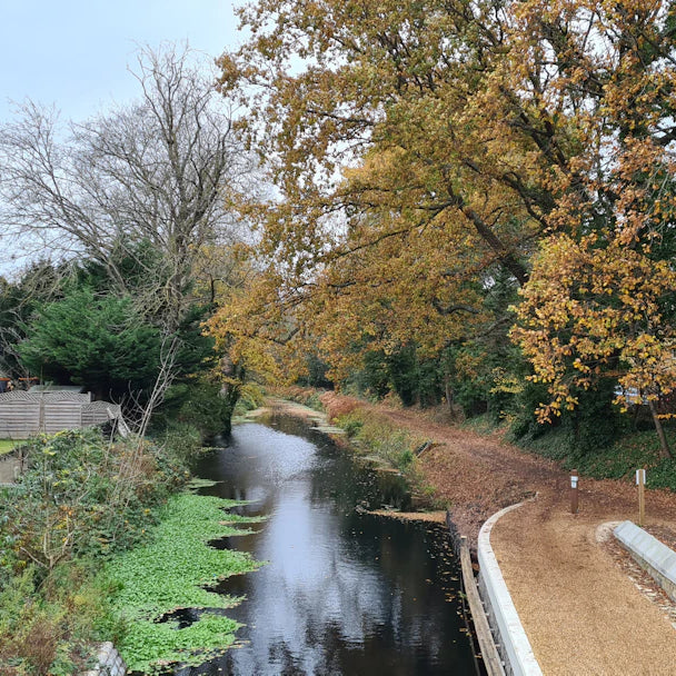 Protecting Our Waterways Through Conservation Projects