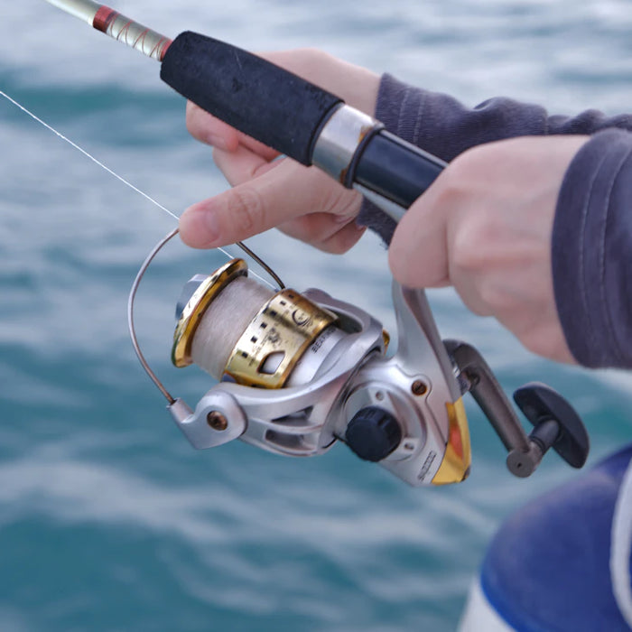 Enhance Your Fishing Efficiency with Key Accessories
