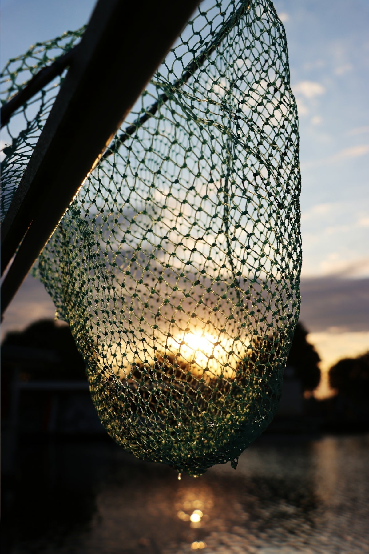 Flounder Drag Net Mesh 4-34 inch 210d 18ply hanging against a sunset backdrop over water.