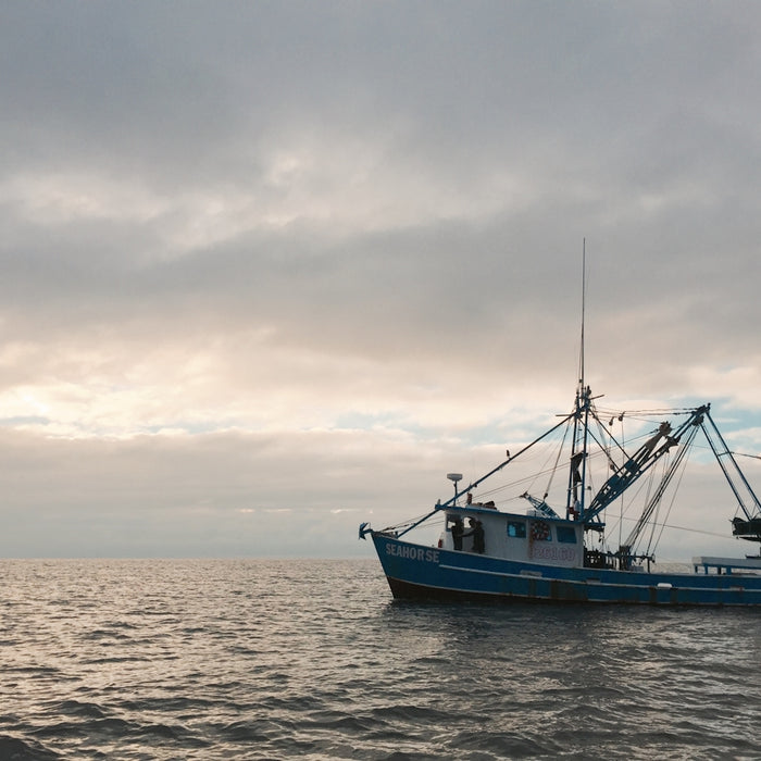 a blue and white boat floating on top of a body of water