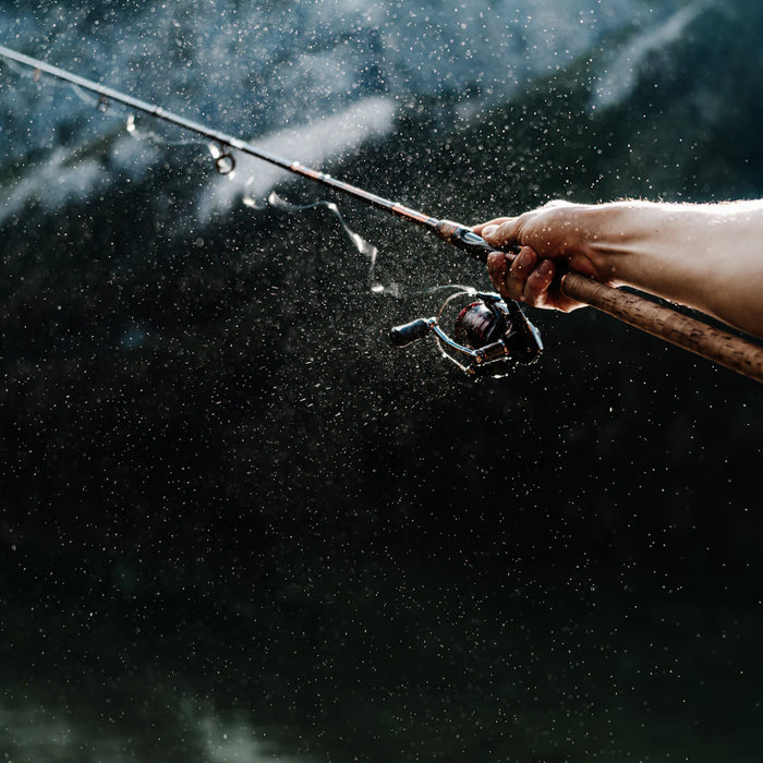 Essential Fishing Gear for New Anglers