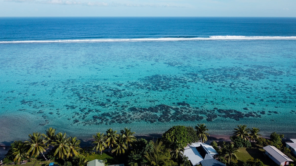 Aerial view of turquoise ocean with reef and palm trees, perfect for highlighting marine environments.