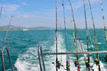 Reliable Manual and Electric Winches for Outdoor Fishing
