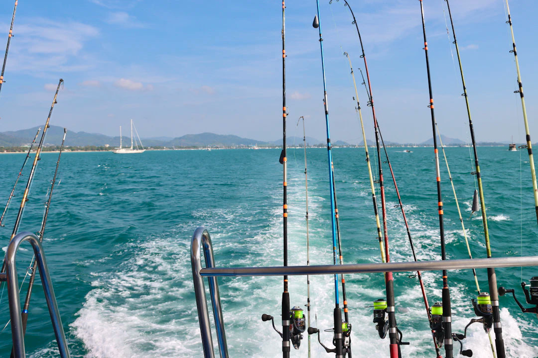 The Role of Technology in Modern Fishing