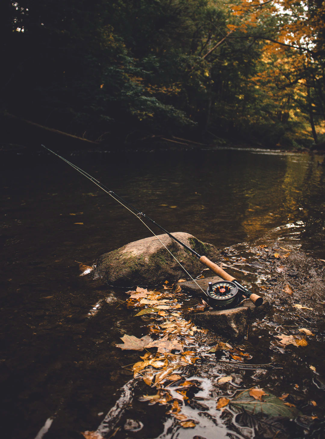The Art of Fly Fishing Techniques and Strategies Unveiled
