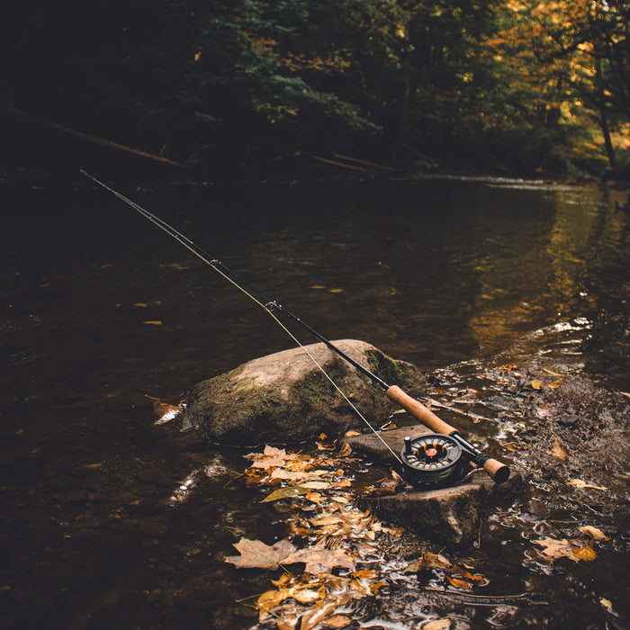 The Art of Fly Fishing Techniques and Strategies Unveiled