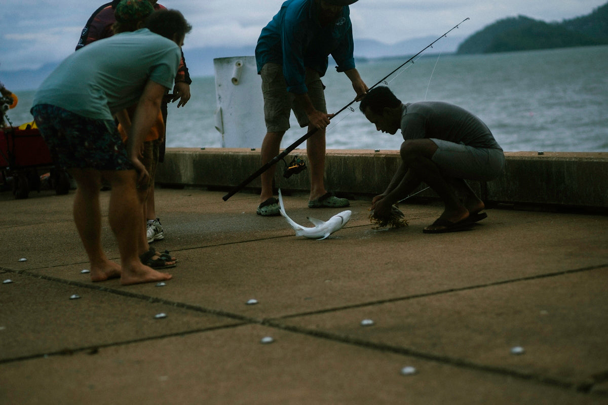 A group of people standing around a body of water