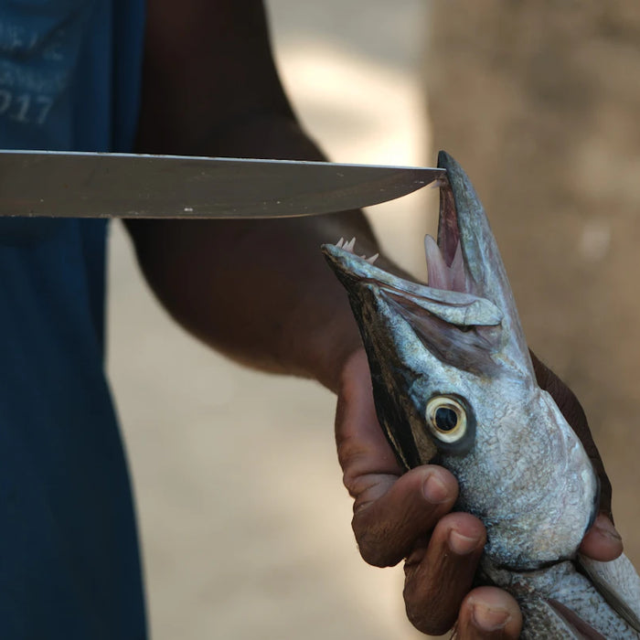 Precision Fishing Knives for Outdoor Enthusiasts