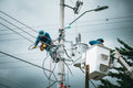 Linemen working on a utility pole with bucket truck
