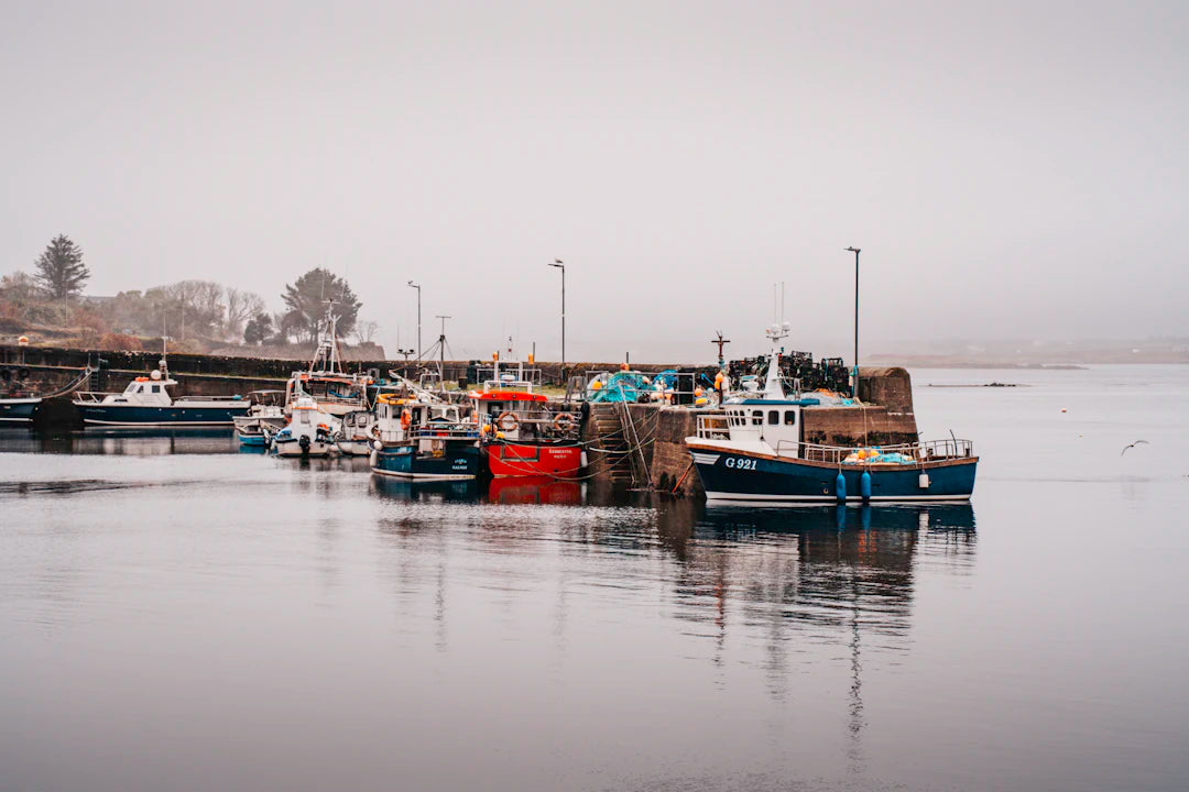 How Weather Affects Fishing Success