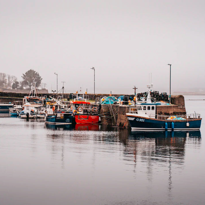 How Weather Affects Fishing Success