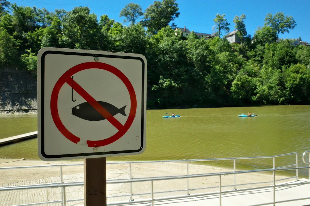 Fishing Regulations What Every Angler Should Know
