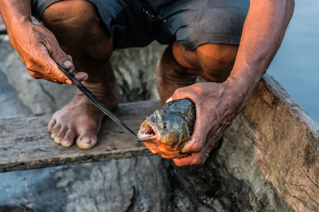 Essential Fishing Knives for Precision Cutting