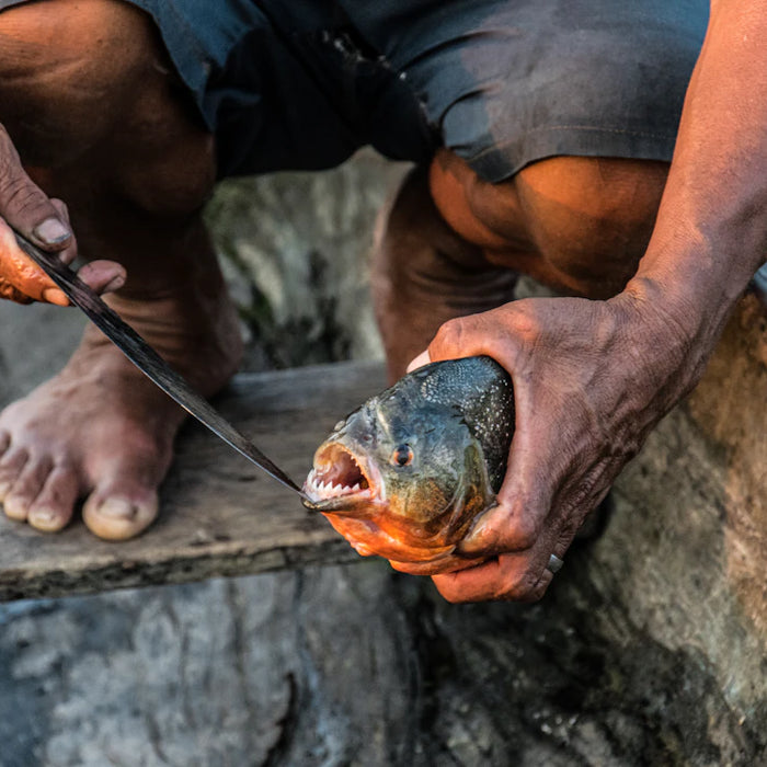 Precision Fishing Knives for Expert Filleting