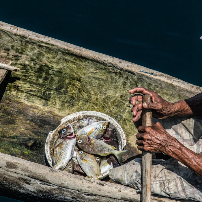 Fishing Traditions Across the Globe A Cultural Dive