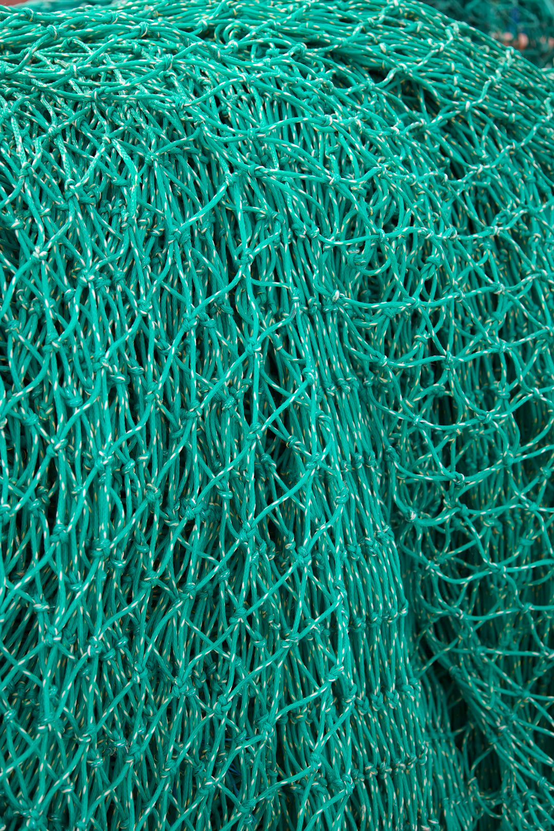 Heavy-Duty Mesh for Fishing A Comprehensive Guide