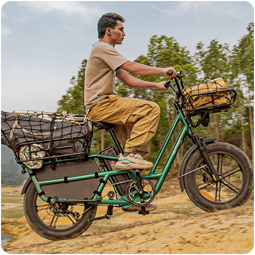 Kiwi eRide Kiwi eRide Fiido T2 Longtail Cargo E-bike Green Fiido T2 Longtail Cargo E-bike Green