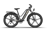 Kiwi eRide Kiwi eRide FIIDO Titan Electric Bike Fat Tire Touring E-bike FIIDO Titan Electric Bike Fat Tire Touring E-bike