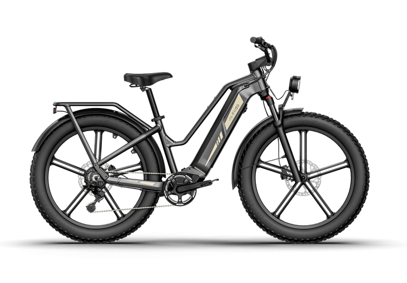 Kiwi eRide Kiwi eRide FIIDO Titan Electric Bike Fat Tire Touring E-bike FIIDO Titan Electric Bike Fat Tire Touring E-bike