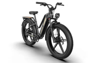 Kiwi eRide Kiwi eRide FIIDO Titan Electric Bike Fat Tire Touring E-bike FIIDO Titan Electric Bike Fat Tire Touring E-bike
