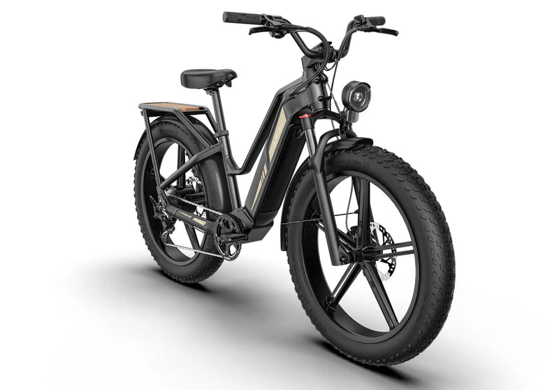 Kiwi eRide Kiwi eRide FIIDO Titan Electric Bike Fat Tire Touring E-bike FIIDO Titan Electric Bike Fat Tire Touring E-bike