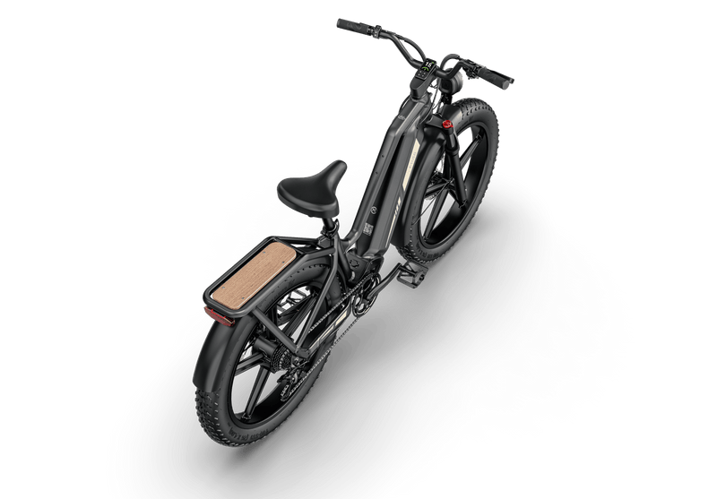 Kiwi eRide Kiwi eRide FIIDO Titan Electric Bike Fat Tire Touring E-bike FIIDO Titan Electric Bike Fat Tire Touring E-bike
