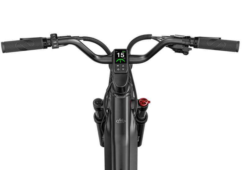 Kiwi eRide Kiwi eRide FIIDO Titan Electric Bike Fat Tire Touring E-bike FIIDO Titan Electric Bike Fat Tire Touring E-bike