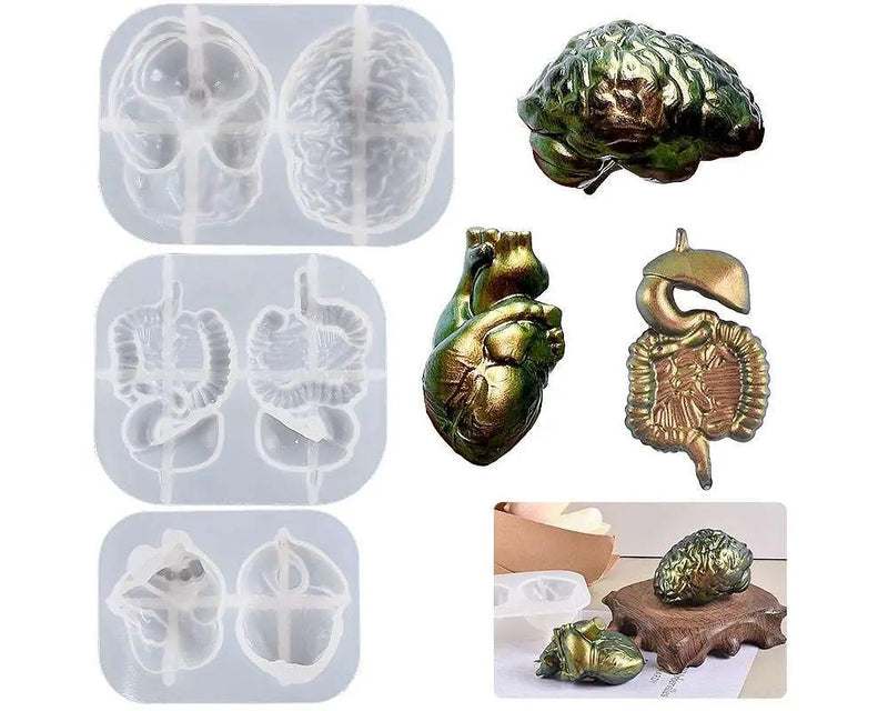 3D Silicone Molds for Simulated Human Organs by Resin Art NZ