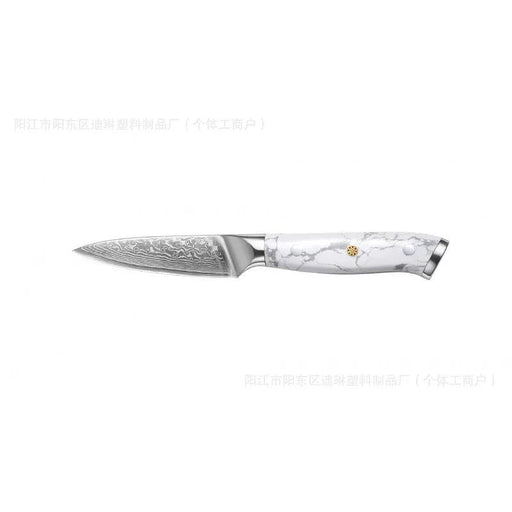 Damascus Special Household Combined Chef's Knife Fruit Knife by China Dropship