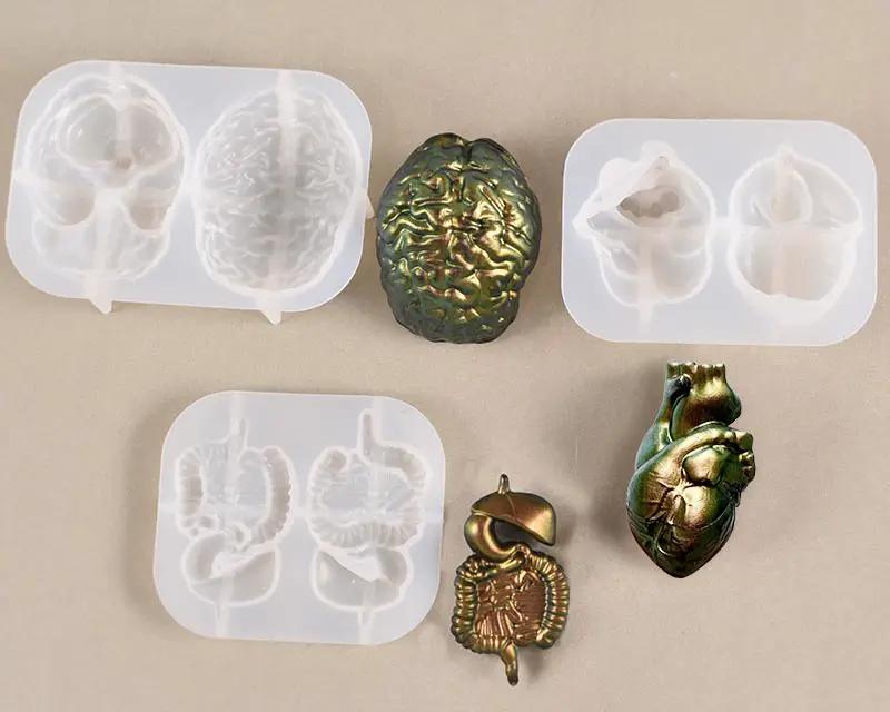 3D Silicone Molds for Simulated Human Organs by Resin Art NZ