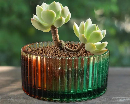 Jewelry Storage Moulds Set for DIY Craft and Resin Art by Resin Art NZ