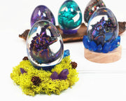 Dragon / Dinosaur and Egg Moulds by Resin Art NZ