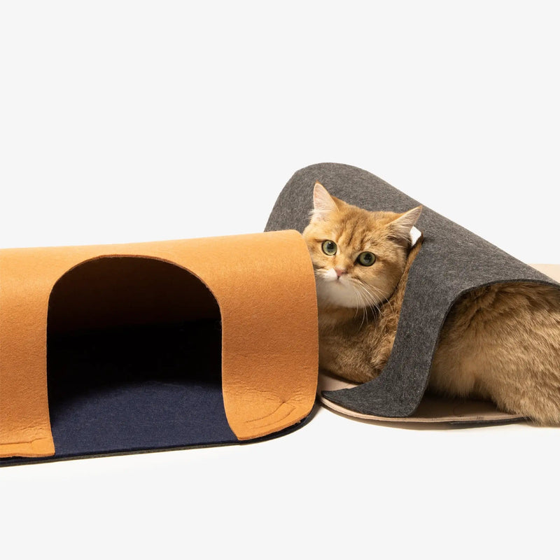 Pidan New Zealand Playing PIDAN Catube Carpet Tunnel Set 2 Pieces For Cats Play Pidan Catube Carpet Tunnel Set For Cats Play