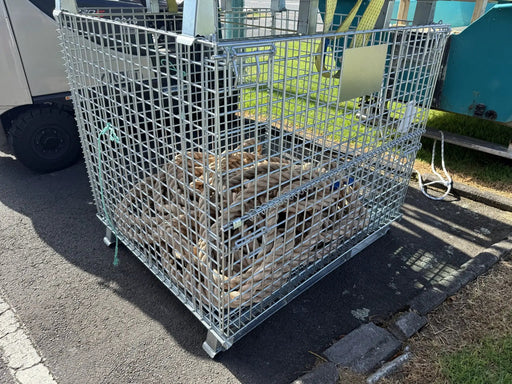 Collapsible Wire Mesh Storage Cage 800kg Capacity Rugged Warehouse Storage Solution Auckland Racking by Auckland Racking