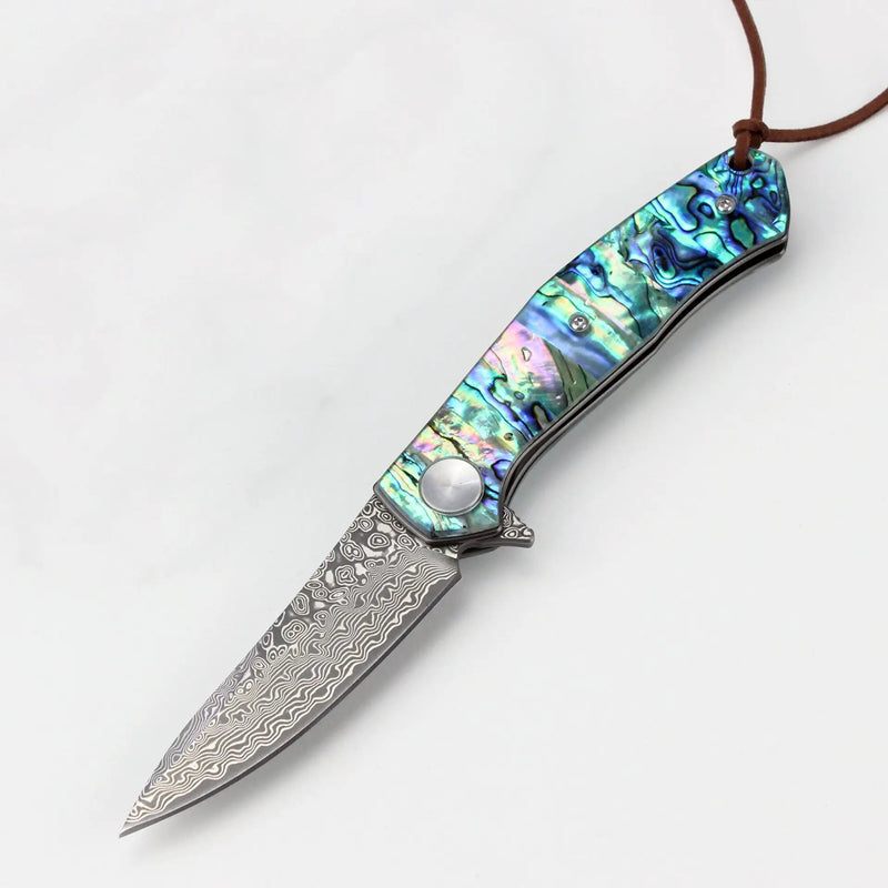 Color Shell Handle Damascus Steel Knife Wooden Handle by China Dropship