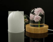 LED Resin Mould Resin Artist Ornaments Home Decoration LED Night Light Mould by Resin Art NZ