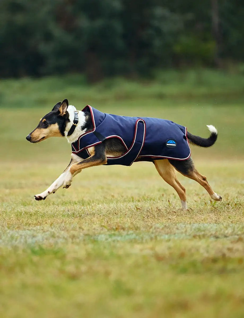 WeatherBeeta ComFiTec Premier Deluxe Waterproof Dog Coat by WeatherBeeta