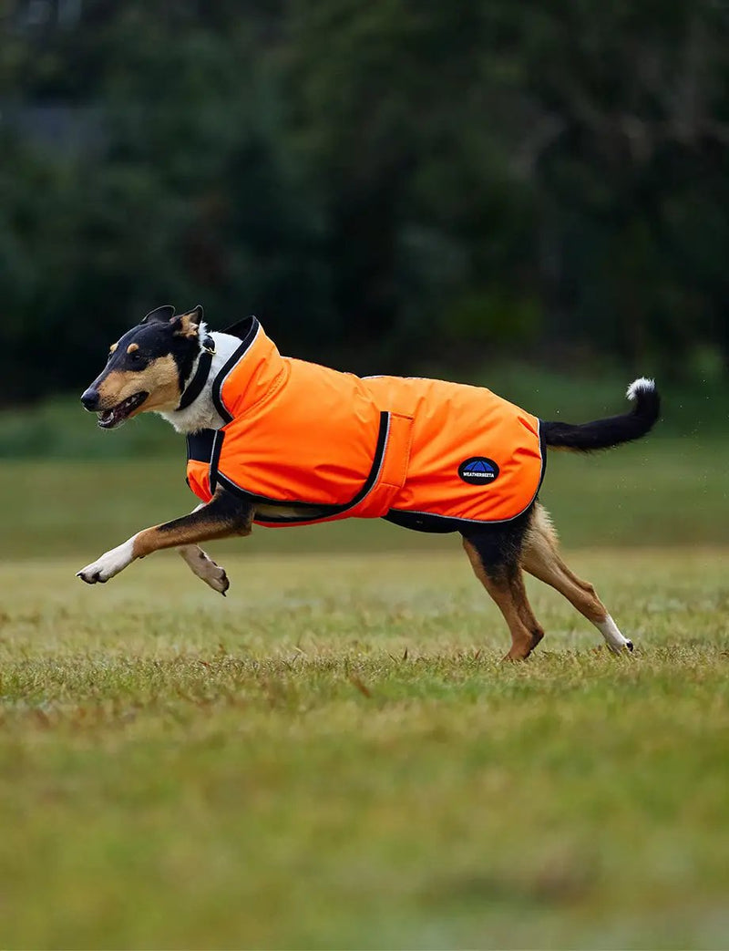 WeatherBeeta ComFiTec Reflective 300D Deluxe Showerproof Dog Coat by WeatherBeeta