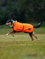 WeatherBeeta ComFiTec Reflective 300D Deluxe Showerproof Dog Coat by WeatherBeeta