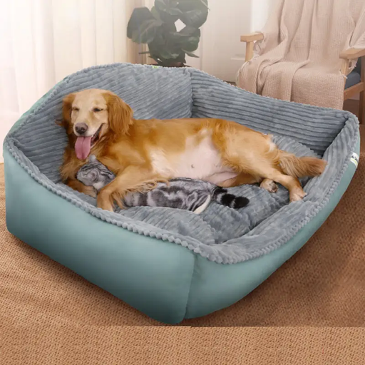 High Back Bolster Comfort Pet bed Dog Bed Super Thick Warm 3 Size Available by dealonline.co.nz