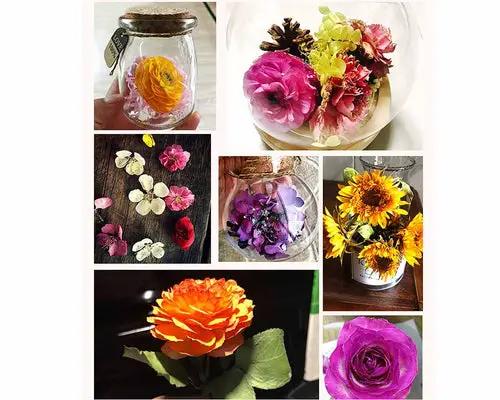 Silica Gel Flower Drying Crystals Indicator by Resin Art NZ
